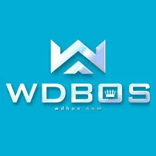 WDBOS - Tantangan Seru dalam Permainan Puzzle